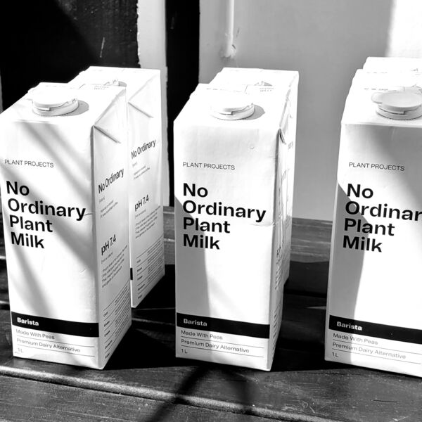 20250308_111817.jpg Thumbnail